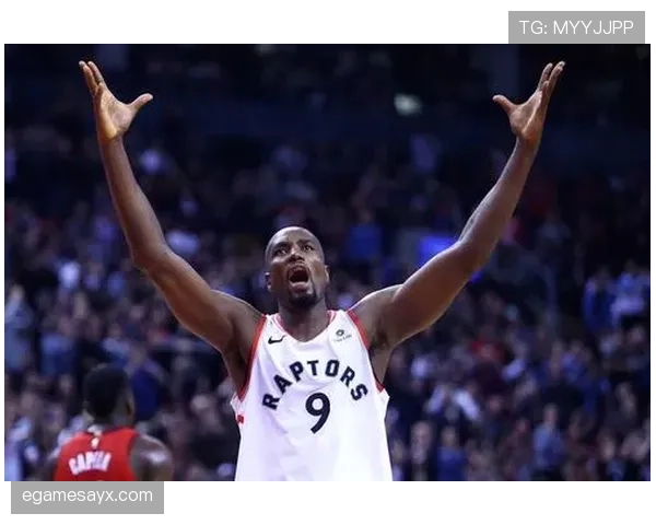 谢菲联本赛季表现稳健，攻防两端展现持续提升态势