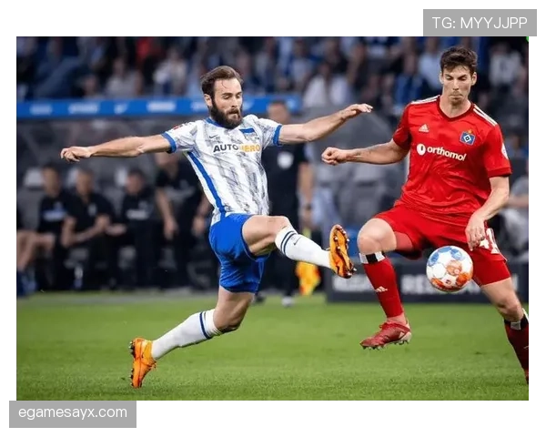 赫塔本赛季数据分析表现稳健，攻防走势清晰